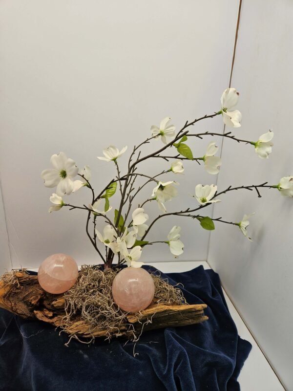One three-inch and one two-inch rose quartz spheres on driftwood with blooming dogwood