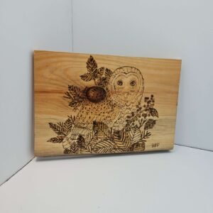 Owl on pine