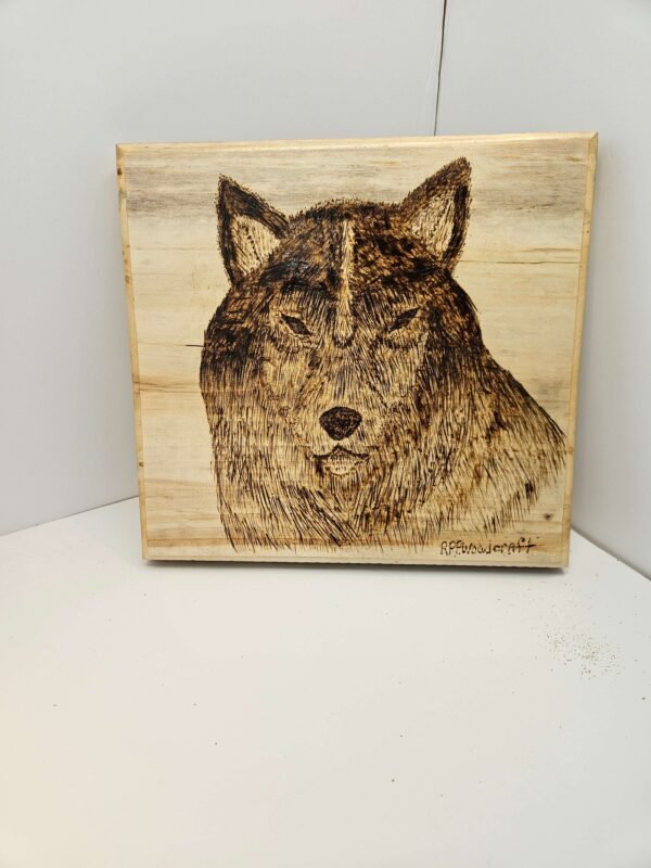Black wolf on pine