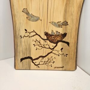 Birds feeding young on live-edge pine