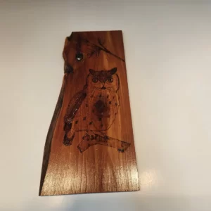 Woodburn art Owl
