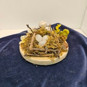 Clear quartz eggs on nest with mushrooms