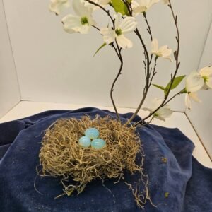 Opal eggs in nest with dogwood flowers