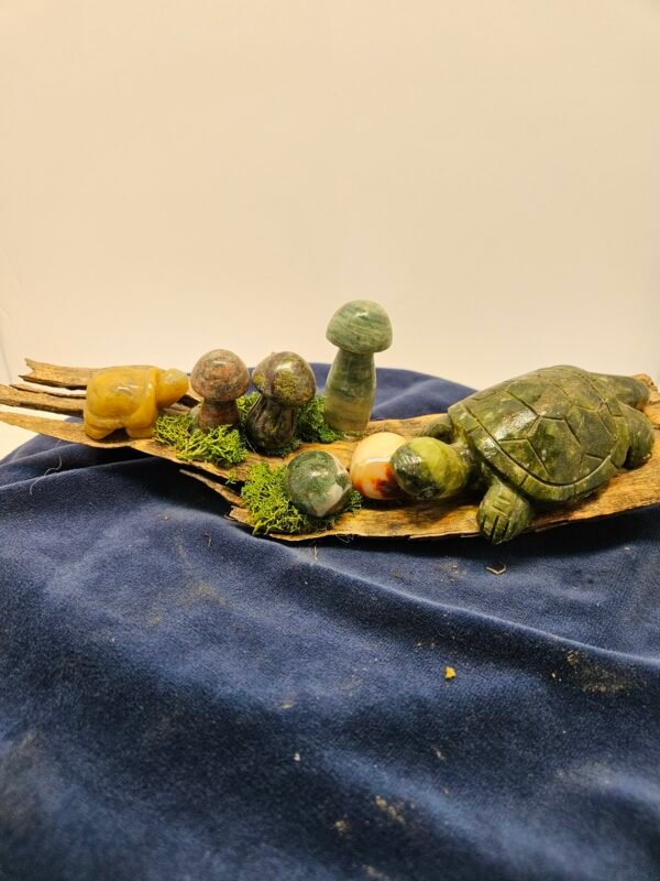 Turtles on driftwood