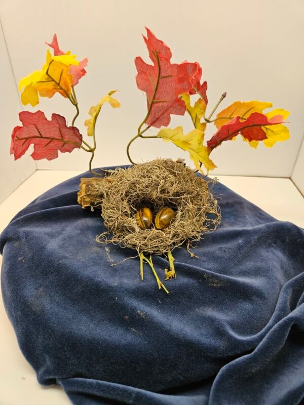 Tiger eye eggs in nest with fall leaves.