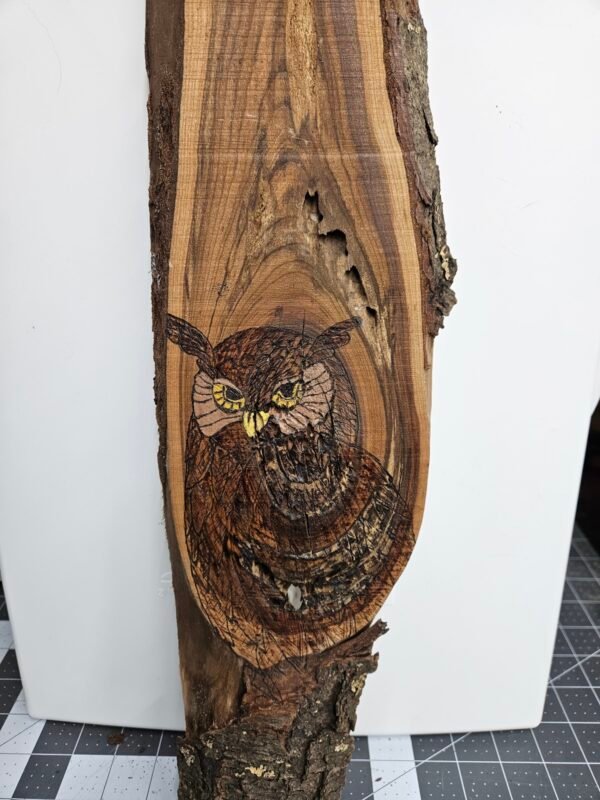 Owl On Live Edge Cherry