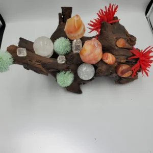 fire and ice on driftwood includes carnelian flames clear quartz