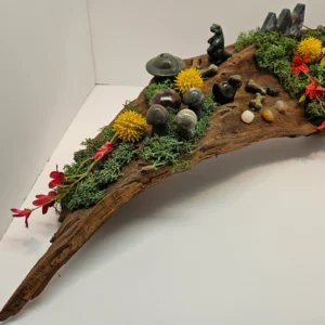 Dinosaur scene on boxelder