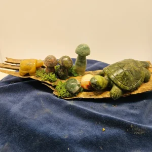 -zturtles on driftwood