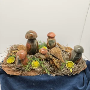 Polychrome mushrooms on driftwood