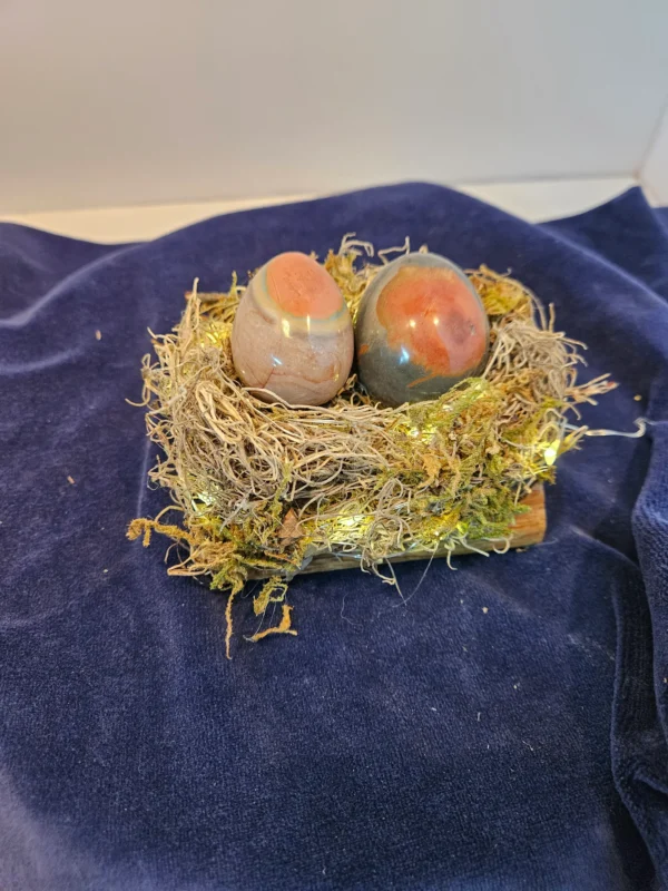 two large polychrome eggs in nest