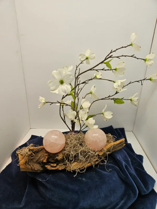 Rose Quartz Spheres with dogwood branch on driftwood