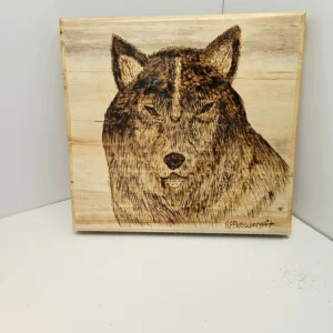 Woodburn black wolf on pine