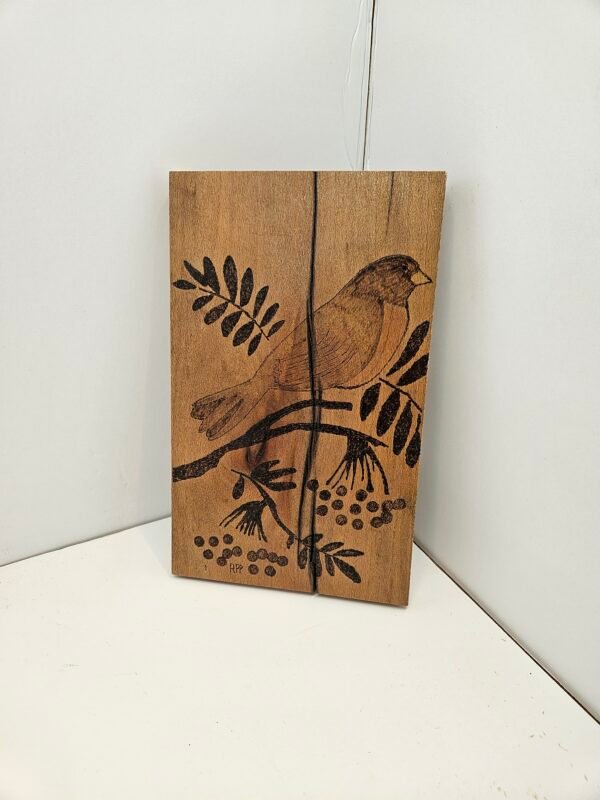 Woodburn Robin