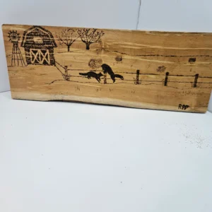 Woodburn foxes playing