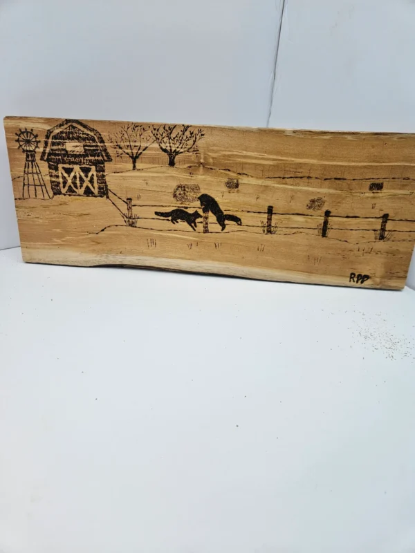 Woodburn foxes playing