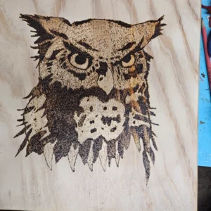 Woodburn owl